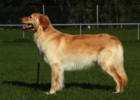 Hesper