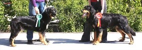 Fenja & Ferio