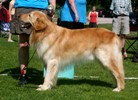 Hemi