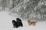 Kev&auml;t 2011